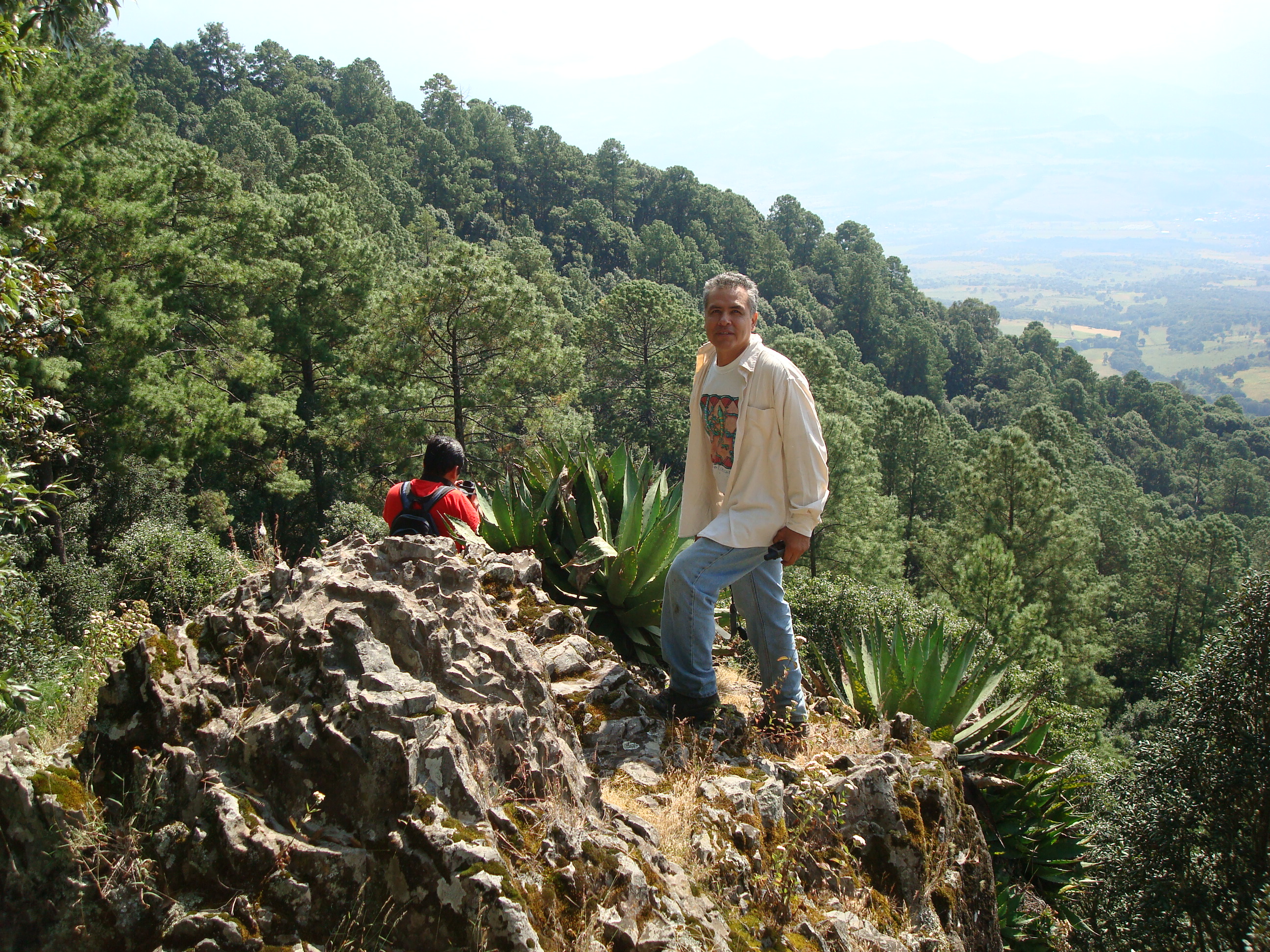 Dr. Guillermo Ibarra